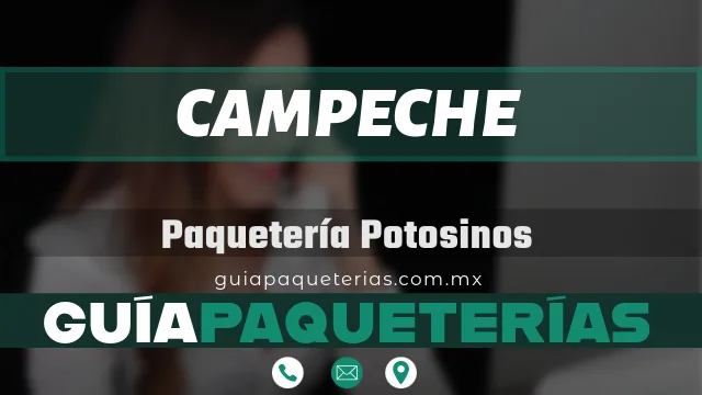 paqueteria transportes potosinos campeche