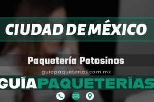 Potosinos en Ciudad de México