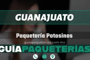 Potosinos en Guanajuato