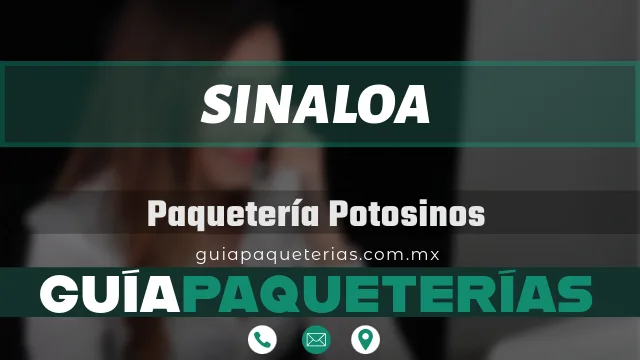 paqueteria transportes potosinos sinaloa