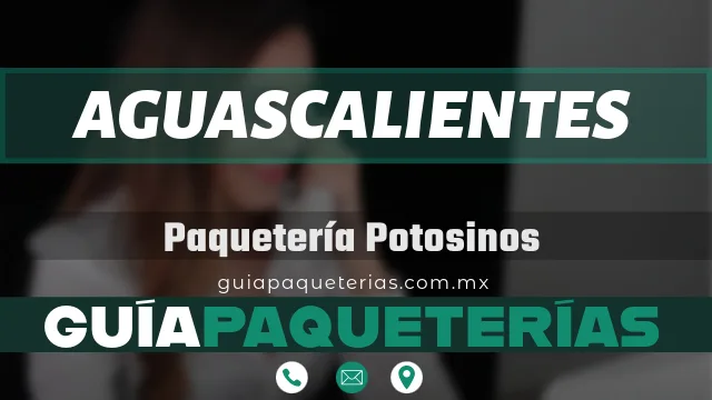 paqueteria transportes potosinos aguascalientes